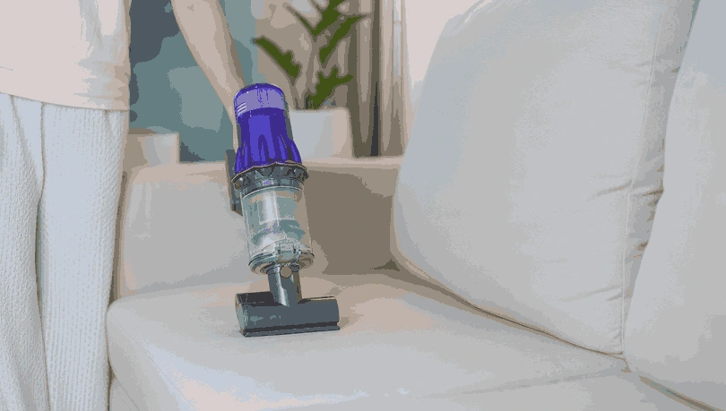 Professional Upholstery Cleaning Safety Beach