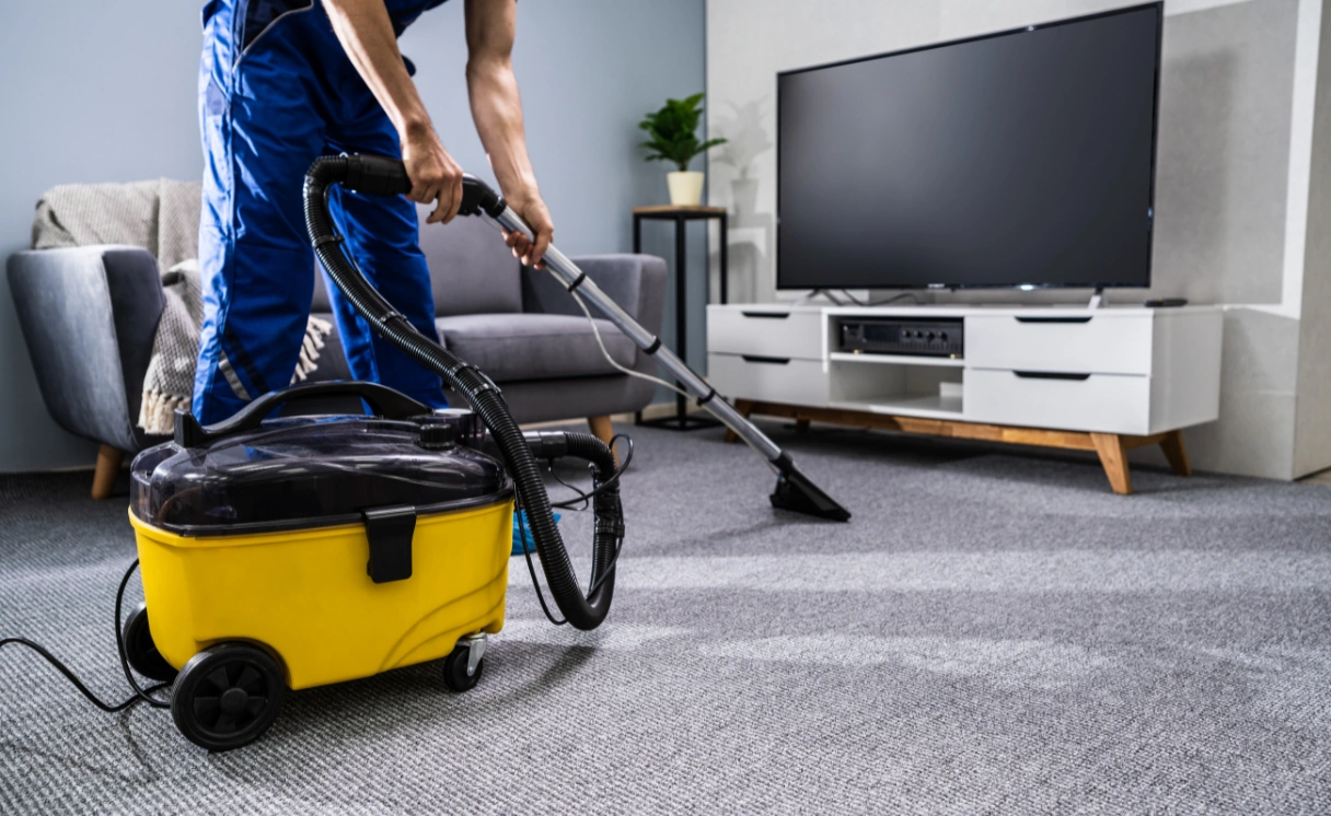 Extract Upholstery Cleaning Safety Beach Contact Office